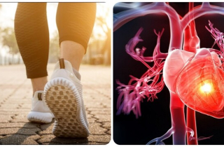 Những kiểu đi bộ giúp cơ tim khoẻ mạnh