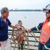 Công an hỗ trợ người dân ven sông Hồng neo thuyền, chằng nhà trước bão số 3