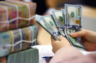 Sáng nay 21-7, tỷ giá trung tâm lên 25.191 đồng/USD