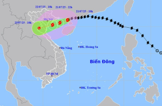 Bão Wipha giật cấp 11 cách Quảng Ninh 190km, khả năng mạnh lên 24 giờ tới