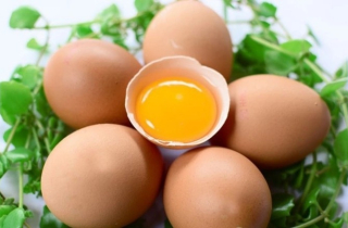 Bài thuốc từ quả trứng gà