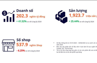 Vì sao hơn 80.000 shop lặng lẽ rời sàn thương mại điện tử?