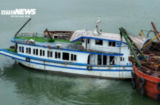 Yêu cầu đề xuất giải pháp xử lý lỗ hổng chết người từ vụ lật tàu Vịnh Xanh 58