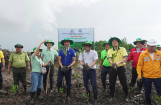 Hưởng ứng Ngày Môi trường Thế giới, Petrovietnam triển khai trồng rừng ngập mặn tại Cà Mau