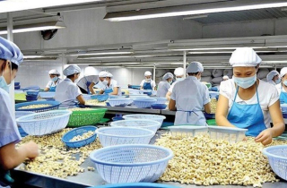 Mỹ áp thuế 20% với hàng Việt Nam: Doanh nghiệp, chuyên gia kỳ vọng giảm thêm