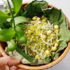 Nên làm gì trong tiết Lập thu?