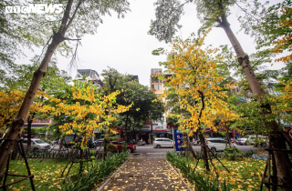 Đẹp ngỡ ngàng Hà Nội vàng rực như mùa thu châu Âu