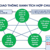 TP.HCM ‘làm xanh' Côn Đảo từ tháng 7/2026