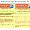 Bộ Y tế đề nghị tăng cường phòng, chống bệnh Chikungunya