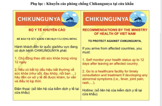 Bộ Y tế đề nghị tăng cường phòng, chống bệnh Chikungunya