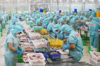 Gia tăng phòng vệ thương mại, hàng hóa Việt đối mặt nhiều thách thức