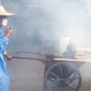 Người đi từ vùng dịch Chikungunya cần theo dõi sức khỏe 12 ngày
