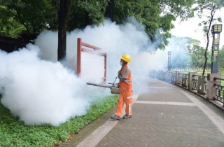 Những điều cần biết về bệnh Chikungunya đang bùng phát tại Trung Quốc