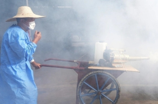 Người đi từ vùng dịch Chikungunya cần theo dõi sức khỏe 12 ngày