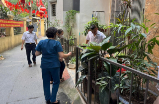 Tăng cường kiểm soát tại cửa khẩu để phòng chống dịch bệnh Chikungunya
