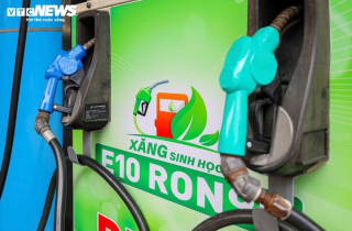 Sau hơn 10 ngày mở bán, xăng sinh học E10 được tiêu thụ thế nào?