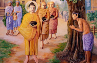 Khi Đức Phật ôm bụng: Bài pháp từ một cơn đau