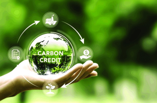 Việt Nam sẵn sàng bước vào thị trường carbon toàn cầu?