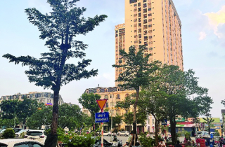 Nghịch lý thị trường căn hộ chung cư