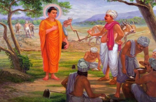 Khi Đức Phật đi khất thực và bị hỏi: Không cày ruộng sao vẫn có cơm ăn?