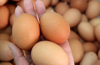Ăn trứng kiểu này sẽ gây hại cơ thể