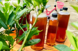 Thử ngay mẹo nhỏ với cốc nước để biết mật ong xịn hay pha đường