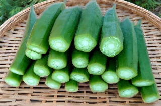 4 loại rau củ ít thuốc trừ sâu nên ăn thường xuyên trong mùa thu