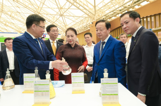 Lãnh đạo Đảng và Nhà nước tham quan gian trưng bày của Petrovietnam tại Triển lãm 80 năm thành tựu đất nước