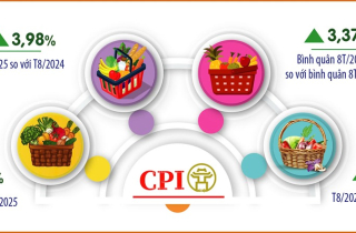 CPI bình quân 8 tháng tại Hà Nội tăng 3,37%