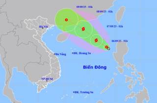 Tin mới nhất về áp thấp nhiệt đới sắp mạnh thành bão và dự báo thời tiết 10 ngày