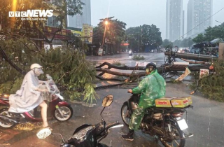 Cuối tháng 9, Biển Đông có thể đón 1-2 cơn bão mạnh