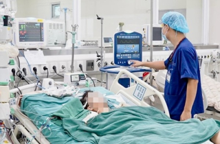 Thuốc diệt chuột gây chết người: Cấm vẫn bán tràn lan