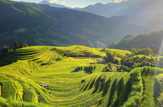 Ngắm những thửa ruộng bậc thang tuyệt đẹp ở Hoàng Su Phì