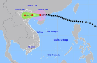Tin bão số 9 Ragasa mới nhất: Giật cấp 11, cách Quảng Ninh 120km