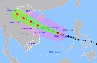 Dự kiến thời điểm bão Bualoi vào đất liền nước ta và cường độ khi đổ bộ