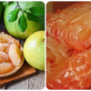 Những người không nên ăn quả bưởi