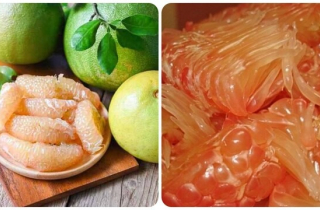 Những người không nên ăn quả bưởi