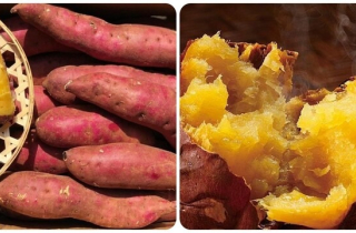 Mỗi ngày ăn một củ khoai lang có tác dụng gì?