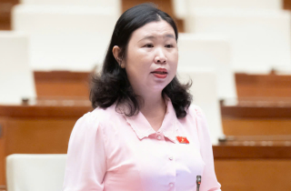 Vụ Vạn Thịnh Phát khối lượng công việc lớn, giám định 3 tháng là 'bất khả thi'