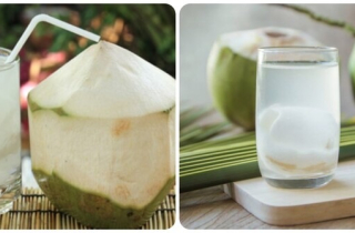 Mỗi ngày uống một ly nước dừa có tốt?