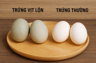 Cách phân biệt trứng vịt lộn và trứng thường