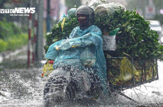 Dự báo thời tiết ngày 17/10: Miền Trung mưa lớn kéo dài, nguy cơ xuất hiện lũ