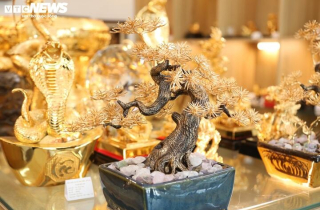 Quà 20/10 độc lạ: Tùng bonsai mạ vàng đắt đỏ, hoa Pickleball lần đầu xuất hiện