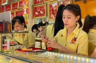 150 triệu đồng/lượng, NHNN Khu vực 2 đề nghị phối hợp kiểm tra thị trường vàng
