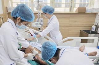 Người đàn ông 34 tuổi tử vong vì đắp lá chữa rắn hổ mang cắn