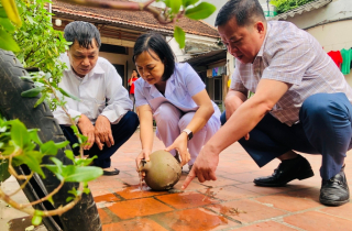 Hà Nội ghi nhận tăng 38 ca sốt xuất huyết so với tuần trước