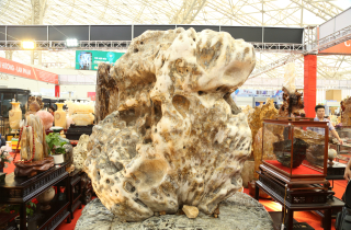 Khách tò mò ngắm san hô, gỗ hóa thạch trăm triệu tuổi, giá tiền tỷ