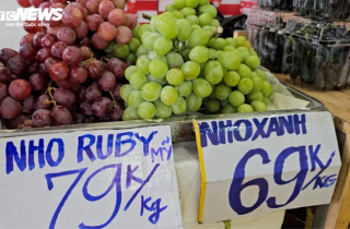 Trái cây nhập ngoại giá rẻ bày bán tràn lan