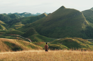 Mùa cỏ cháy phủ vàng đồi Ba Quáng giữa núi rừng Cao Bằng