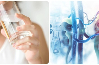 6 thói quen buổi sáng giúp thận khoẻ mạnh